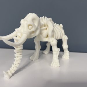 Хелоуин скелет на Мамут - Image 4