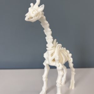 Хелоуин скелет на Жираф - Image 3