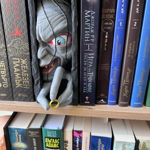 Ам-гъл сред книги – уникална рафтова декорация
